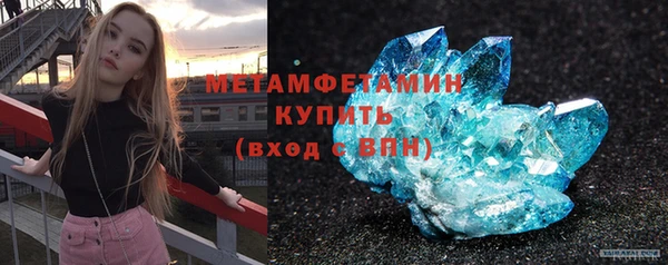 шишки Слюдянка