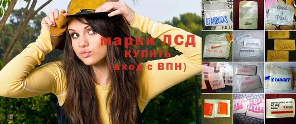 дживик Снежногорск