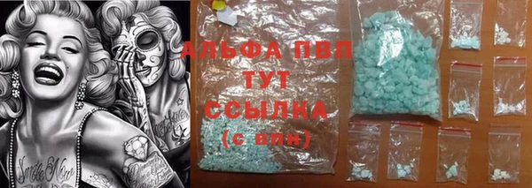 шишки Слюдянка