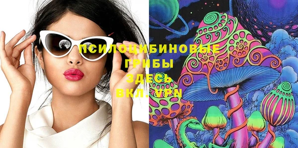 стафф Россошь