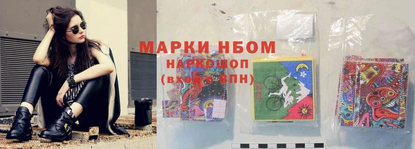 дживик Снежногорск