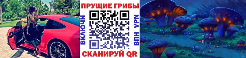 Псилоцибиновые грибы Cubensis  Урень 